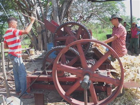 trapiche 1